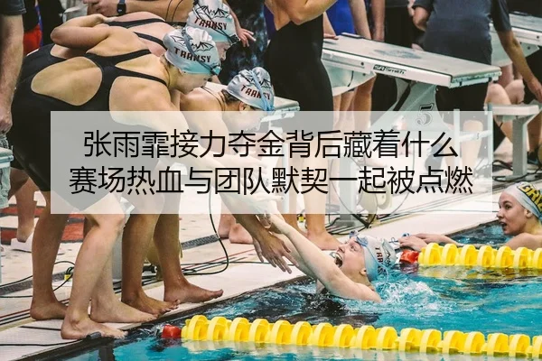 张雨霏接力夺金背后藏着什么 赛场热血与团队默契一起被点燃